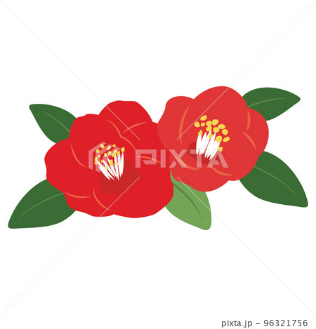 椿の花のイラストのイラスト素材 [96321756] - PIXTA