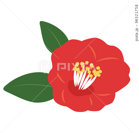 椿の花のイラストのイラスト素材 [96321758] - PIXTA