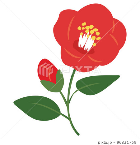 F48 椿 花版画 Flower Woodcut ーCamelliaー | 芸艸堂 版元 | 京