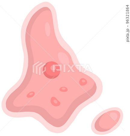 アカントアメーバ 96321864