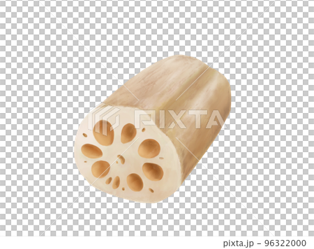 Realistic watercolor illustration of cut lotus root 96322000