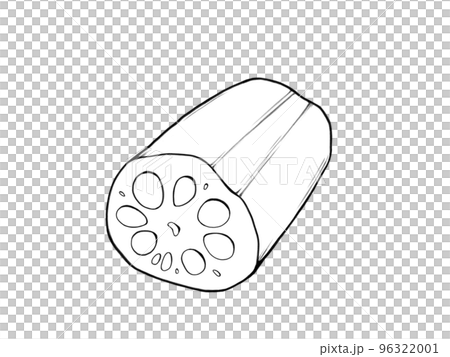 Simple line drawing illustration of cut lotus root 96322001
