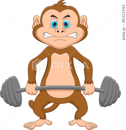 weightlifting monkey cartoon on white background 96322492