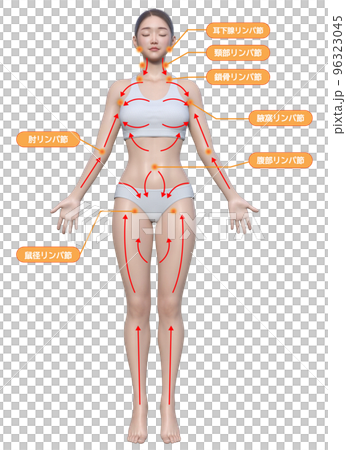 淋巴按摩自我保健流程可愛日本3D模型女全身正面插畫 淋巴按摩自我保健流程可愛日本3D模型女全身正面插畫 96323045