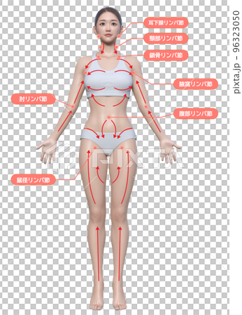 リンパマッサージの流れ ナチュラルで可愛い日本人の3Dモデルの女性のイラスト リンパマッサージの流れ ナチュラルで可愛い日本人の3Dモデルの女性のイラスト 96323050