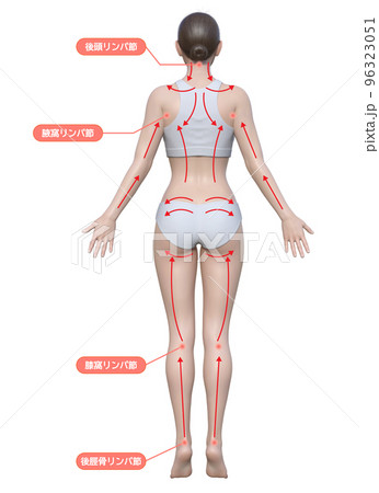 リンパマッサージの流れ ナチュラルでかわいい日本人3Dモデル女性の全身後ろ姿のイラストのイラスト素材 [96323051] - PIXTA