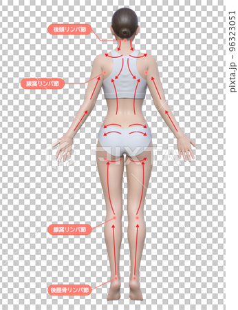 リンパマッサージの流れ ナチュラルでかわいい日本人3Dモデル女性の全身後ろ姿のイラスト リンパマッサージの流れ ナチュラルでかわいい日本人3Dモデル女性の全身後ろ姿のイラスト 96323051