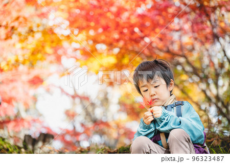 紅葉狩りを楽しむ子ども 紅葉狩りを楽しむ子ども 96323487