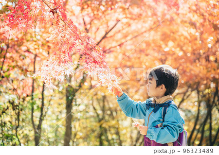 紅葉狩りを楽しむ子ども 紅葉狩りを楽しむ子ども 96323489
