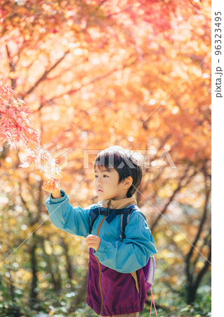 紅葉狩りを楽しむ子ども 紅葉狩りを楽しむ子ども 96323495