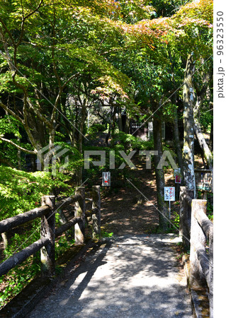 佐賀県有田町 竜門峡キャンプ場周辺の風景 佐賀県有田町 竜門峡キャンプ場周辺の風景 96323550
