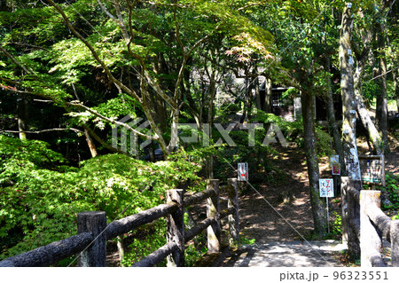 佐賀県有田町 竜門峡キャンプ場周辺の風景 佐賀県有田町 竜門峡キャンプ場周辺の風景 96323551