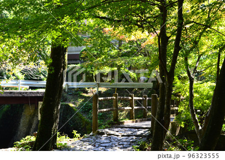 佐賀県有田町 竜門峡キャンプ場周辺の風景 佐賀県有田町 竜門峡キャンプ場周辺の風景 96323555