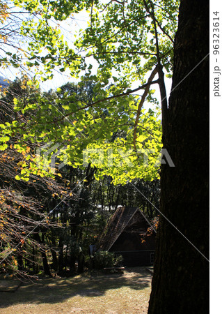 佐賀県有田町　竜門峡キャンプ場周辺の風景 96323614