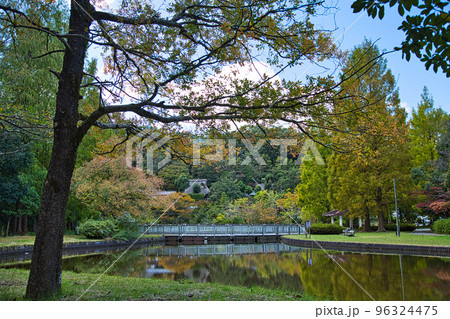 紅葉ーカルチャーパーク 紅葉ーカルチャーパーク 96324475