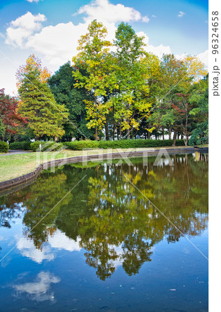 紅葉ーカルチャーパーク 96324658