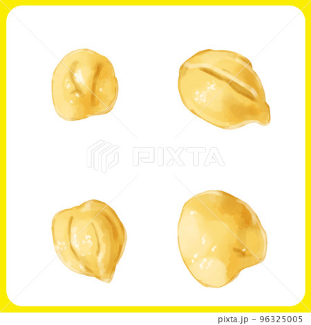 手描き水彩のひよこ豆イラスト 手描き水彩のひよこ豆イラスト 96325005