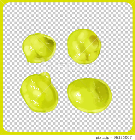 手描き水彩の青えんどうイラスト 96325007