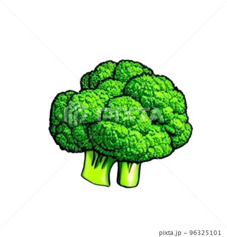 ブロッコリー 96325101