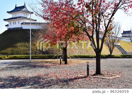 栃木県　宇都宮城址公園の清明台と冨士見櫓と紅葉 96326059