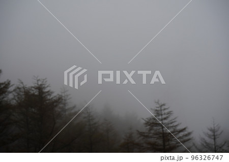 ぼかし撮影|日中にもかかわらず濃霧で視界不良の山林の景色|長野県 ぼかし撮影|日中にもかかわらず濃霧で視界不良の山林の景色|長野県 96326747