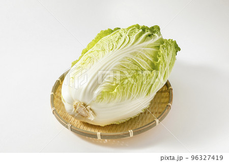 白菜　白背景 96327419