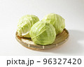 キャベツ　白背景 96327420