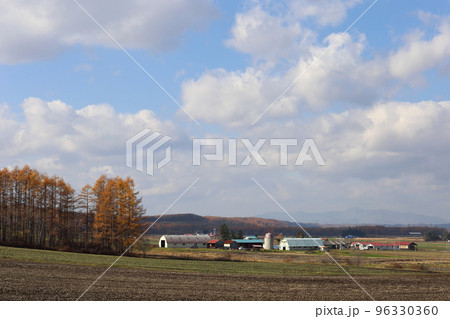 北海道 十勝地方 牧場のある風景 北海道 十勝地方 牧場のある風景 96330360