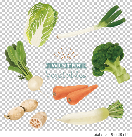 各種冬季蔬菜水彩畫集 各種冬季蔬菜水彩畫集 96330514