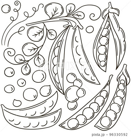 Set of vector illustrations in hand drawn style. Coloring poster with fruits 96330592