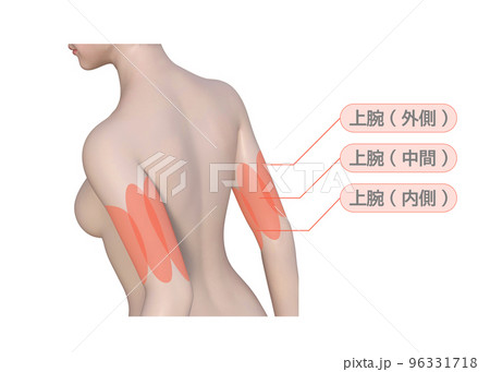 女性が気になる腕の痩せたい部分の上半身後ろ姿の3Dイラスト 96331718