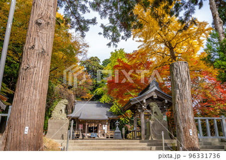 陸奥総社宮 拝殿 手水舎 狛犬 男坂 女坂 紅葉 陸奥総社宮 拝殿 手水舎 狛犬 男坂 女坂 紅葉 96331736