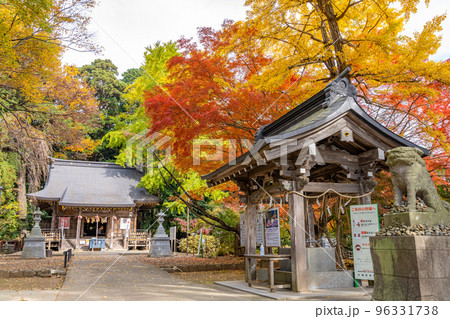 陸奥総社宮　拝殿　手水舎　狛犬　紅葉 96331738