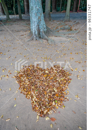 陸奥総社宮 落ち葉 紅葉 ハート 境内 陸奥総社宮 落ち葉 紅葉 ハート 境内 96331747