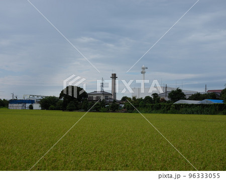木下の風景 96333055