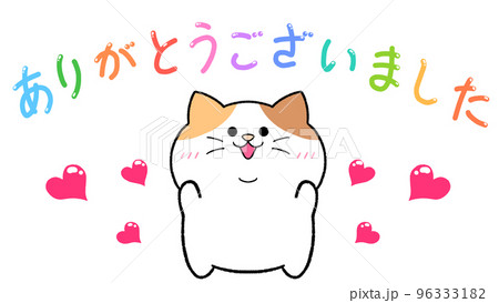 あんこtoきなこ♡三毛猫姉妹♡保護猫♡新潟🇯🇵 | 愛と可愛さ