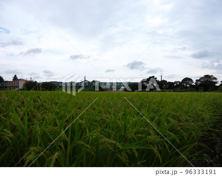 木下の風景 木下の風景 96333191