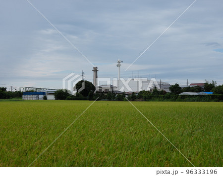 木下の風景 木下の風景 96333196