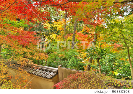 即宗院 庭園(月の輪殿)の紅葉 即宗院 庭園(月の輪殿)の紅葉 96333503
