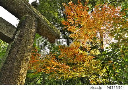 即宗院の紅葉 96333504