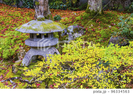 秋の泉涌寺 御座所の庭園 京都府京都市 秋の泉涌寺 御座所の庭園 京都府京都市 96334563