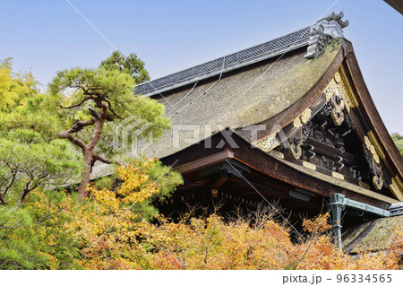 秋の泉涌寺 御座所前の庭園絡みた霊明殿 京都府京都市 秋の泉涌寺 御座所前の庭園絡みた霊明殿 京都府京都市 96334565