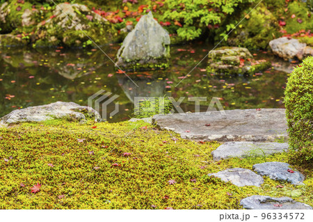 秋の泉涌寺 御座所の庭園 京都府京都市 秋の泉涌寺 御座所の庭園 京都府京都市 96334572