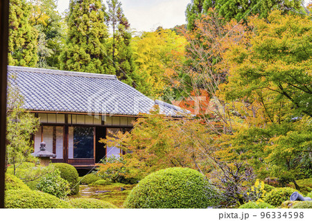 秋の御寺泉涌寺　別院　雲龍院　庭園　京都府京都市 96334598