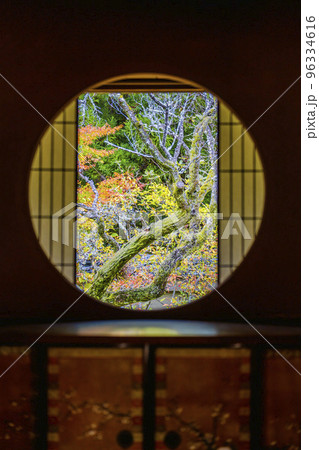 秋の御寺泉涌寺 別院 雲龍院 悟りの窓 京都府京都市 秋の御寺泉涌寺 別院 雲龍院 悟りの窓 京都府京都市 96334616