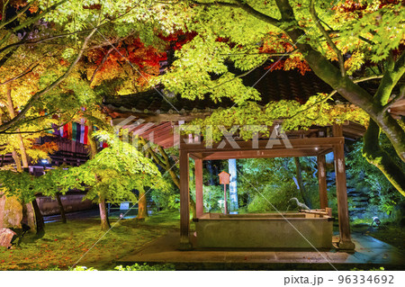秋の禅林寺 (永観堂)の紅葉 手水舎 ライトアップ 京都市左京区 秋の禅林寺 (永観堂)の紅葉 手水舎 ライトアップ 京都市左京区 96334692