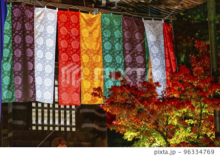 秋の禅林寺 (永観堂)の紅葉　阿弥陀堂　ライトアップ　京都市左京区 96334769