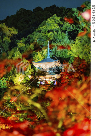 秋の禅林寺 (永観堂)の紅葉　多宝塔　ライトアップ　京都市左京区 96334819