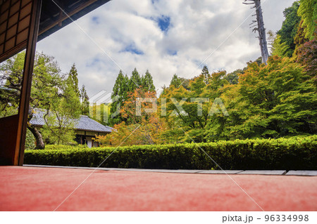 秋の御寺泉涌寺　別院　雲龍院　庭園　京都府京都市 96334998