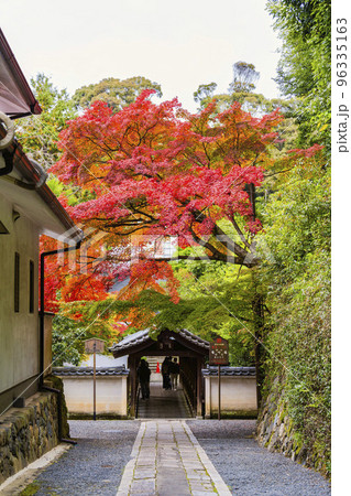 秋の東福寺 紅葉と偃月橋 京都府京都市 秋の東福寺 紅葉と偃月橋 京都府京都市 96335163
